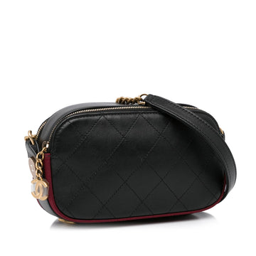 Chanel Button Up Double Zip Camera Bag (MLB-9ts5t9)