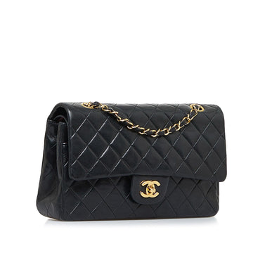 Chanel Classic Medium Lambskin Double Flap Bag (MLB-bU8cQt)