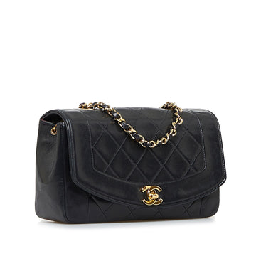 Chanel Diana Flap Crossbody Bag (MLB-hoYABn)