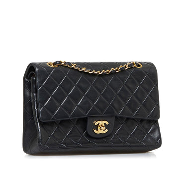 Chanel Medium Classic Lambskin Double Flap (MLB-iiisD0)