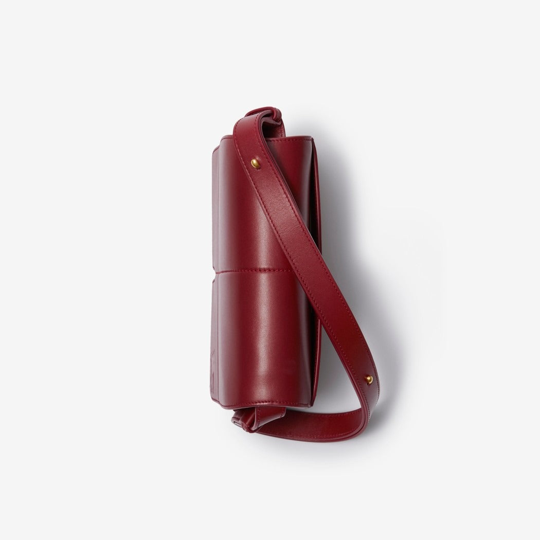 Burberry Snip Bag