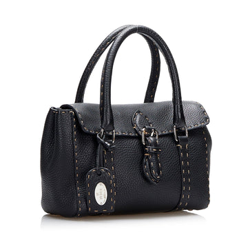 Fendi Selleria Linda Handbag (MLB-YnsOzF)