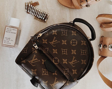 Louis Vuitton | Monogram Palm Springs | Mini