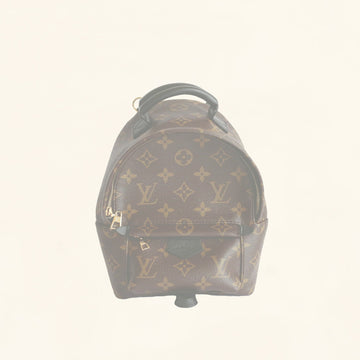 Louis Vuitton | Palm Springs Backpack | Mini